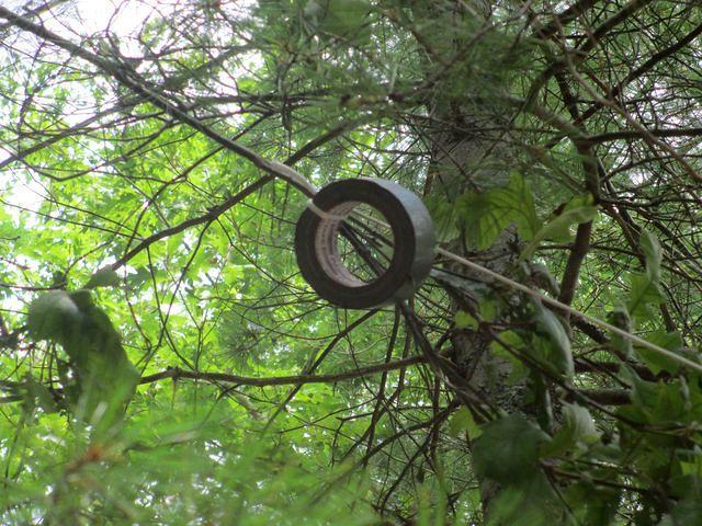 Uhoh, should have used a hatchet!