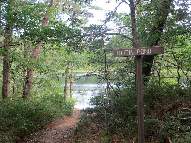 Ruth Pond Hike 1