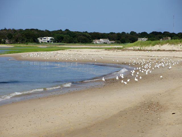 Crosby Landing Cape Cod Bay 1