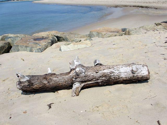 Crosby Landing Cape Cod Bay 2