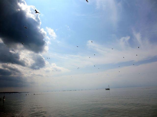 Crosby Landing Cape Cod Bay 4