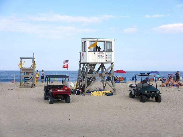 New Shark Watch Precautions 1