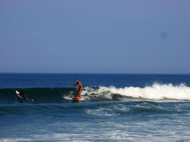 Surfer 1