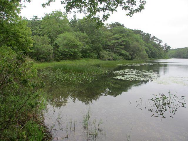 Little Cliff Pond Hike 2