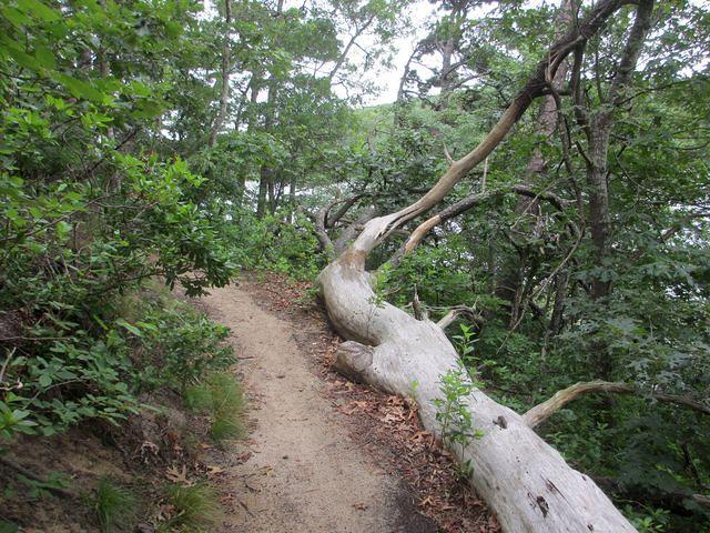 Little Cliff Pond Hike 4