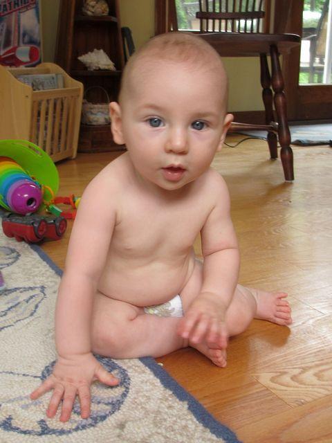 Cutie pie checking out the sunroom 1