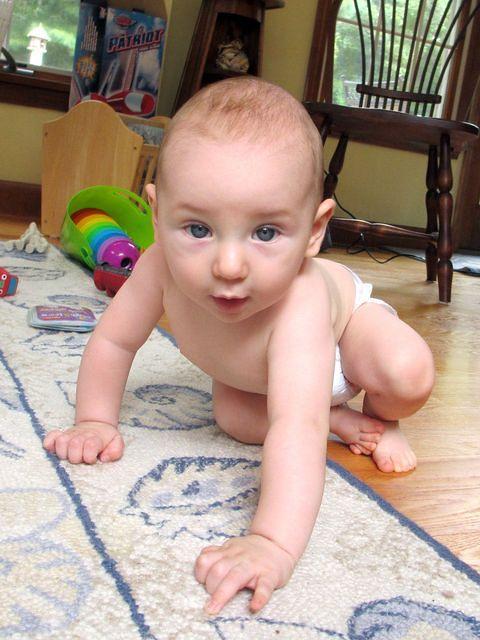 Cutie pie checking out the sunroom 2