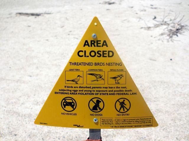 Wing Island protected area