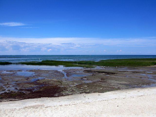 Cape Cod Bay