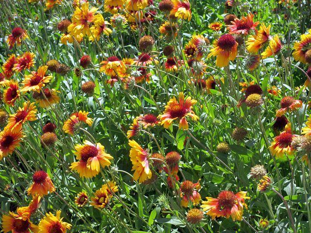 Parking Garage Roof 3