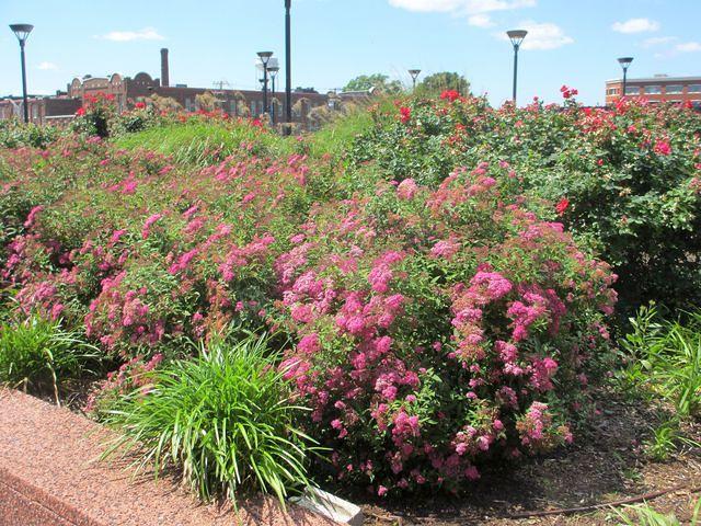 Parking Garage Roof 2