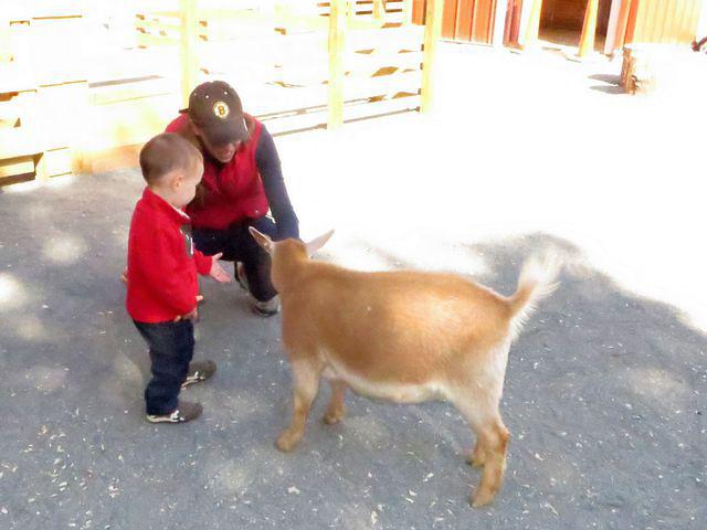 Beth introducing Thomas to Ginger