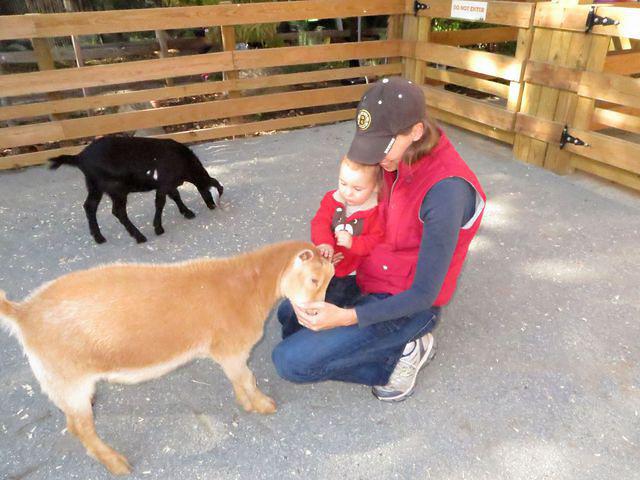 Tentative friendship