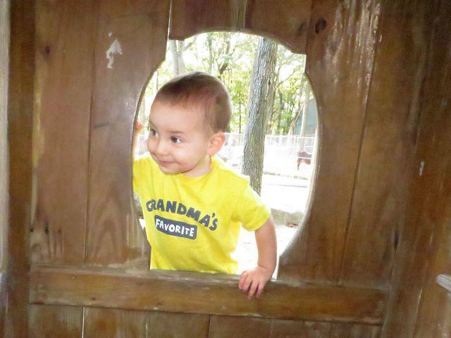 Looking from the outside in