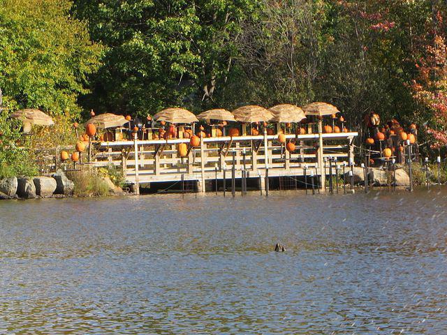 Jack-O-Lantern Spectacular View