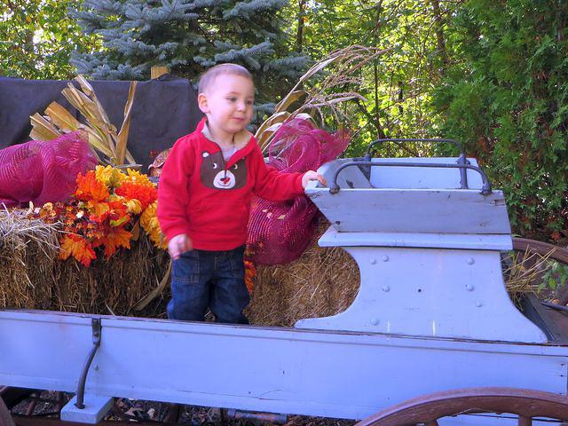 Thomas on the decorated farm wagon