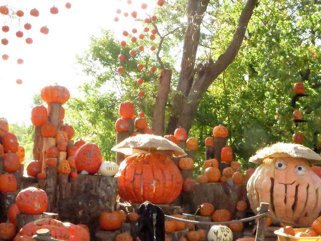 More Jack-O-Lantern Spectacular