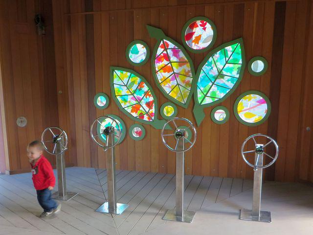 What a cool treehouse!