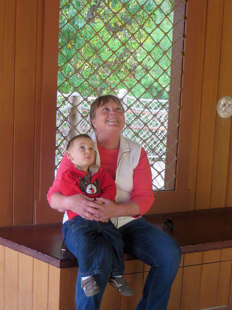 Looking up at the Rube Goldberg-like contraption