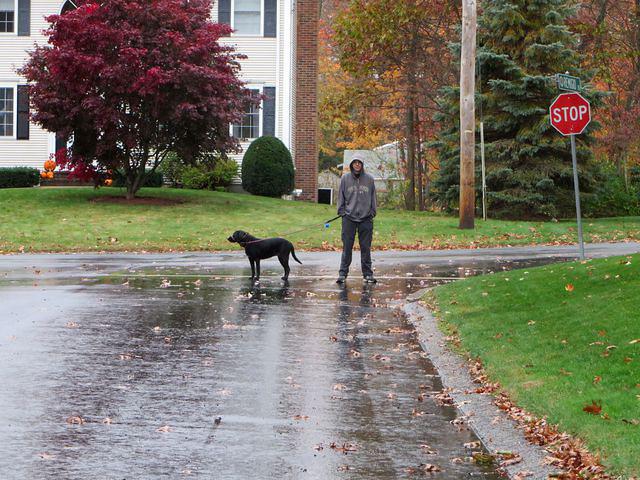 Sean and Loki ready for the final stretch