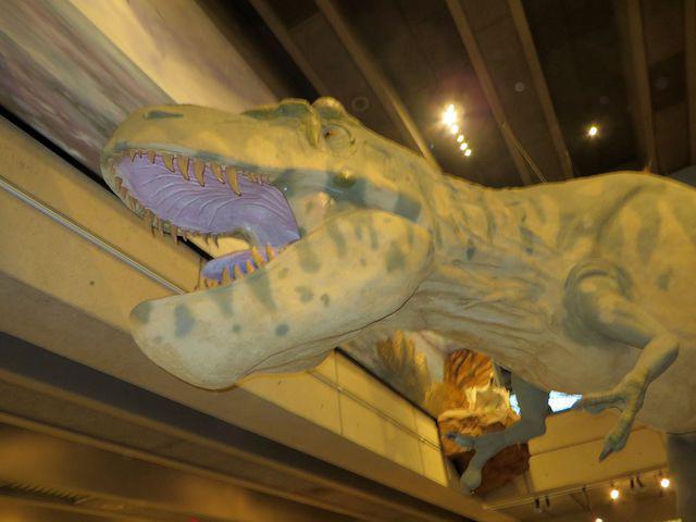 T-Rex From Below