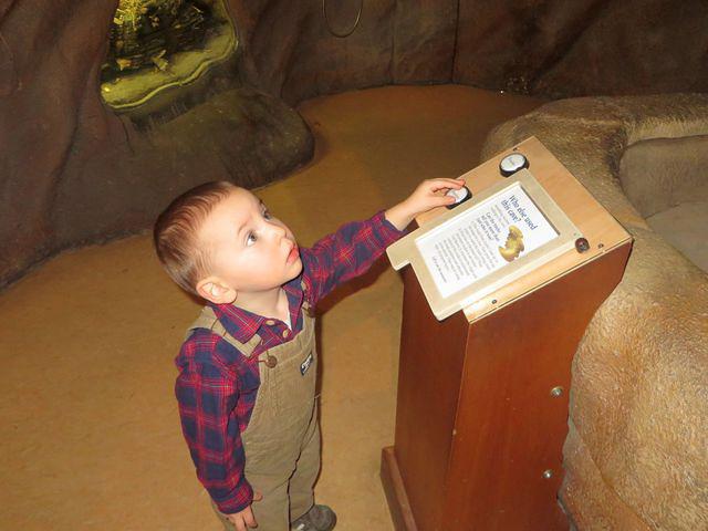 What Does this Button Do?