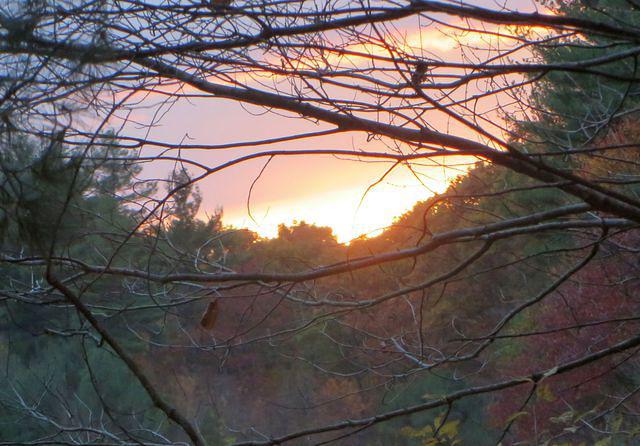 Colors are getting pretty, time to head home