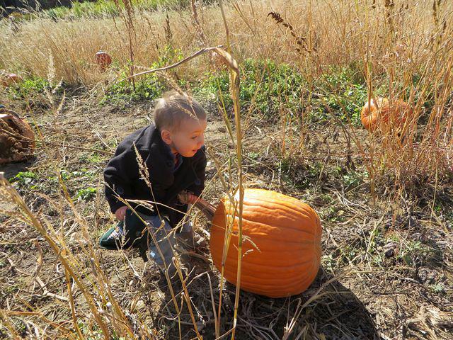 Not sure I can lift it!