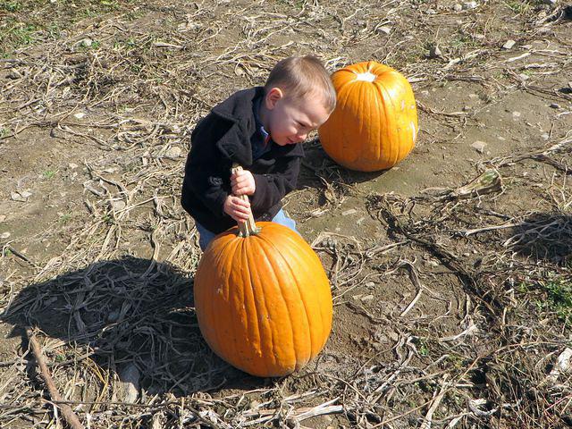 Man, these are heavy!