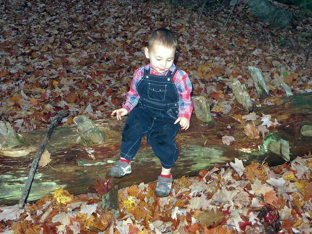Posing on conquered fallen tree