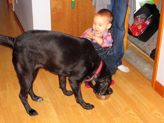 Patting Loki after feeding her