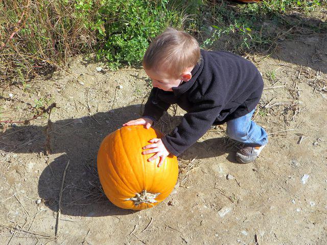 Maybe rolling works!