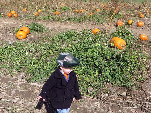 Dapper pumpkin hunter