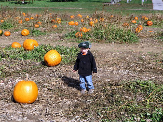 So many options........