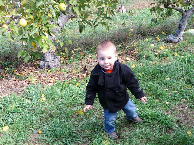 Happy apple hunter