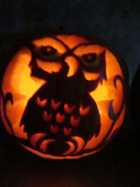 Meghan's in the dark