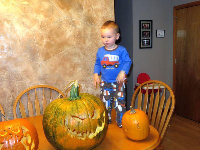 Thomas checking them out