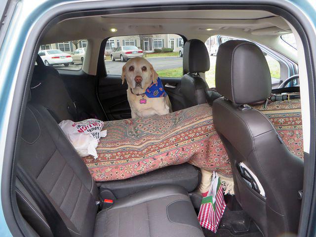 Dusty found her spot