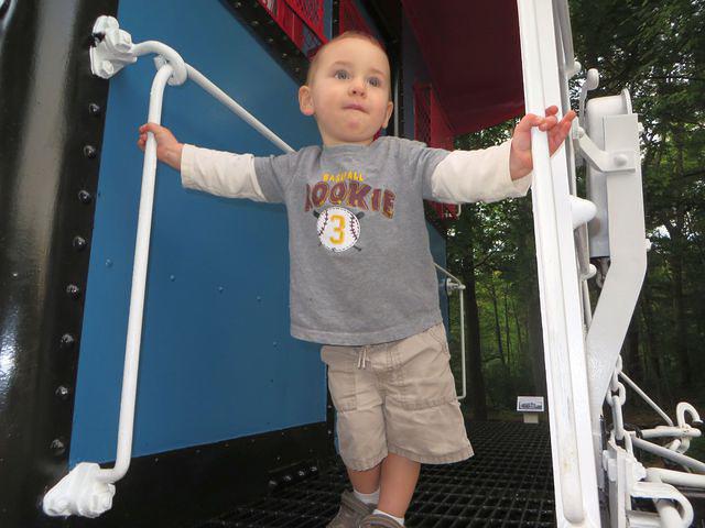 Surveying his domain