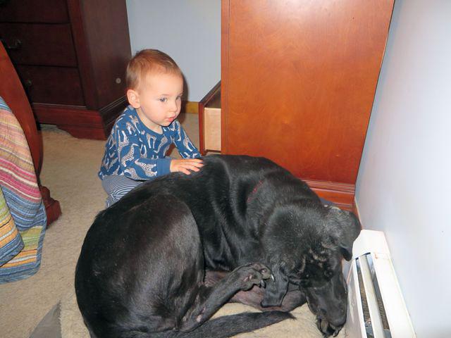 Time for a walk, not!