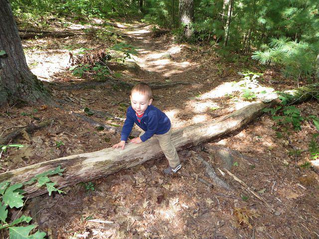 Log clambering