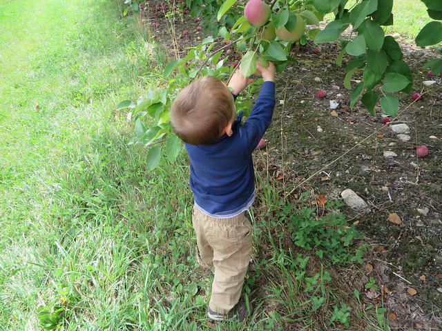 Getting the hang of it