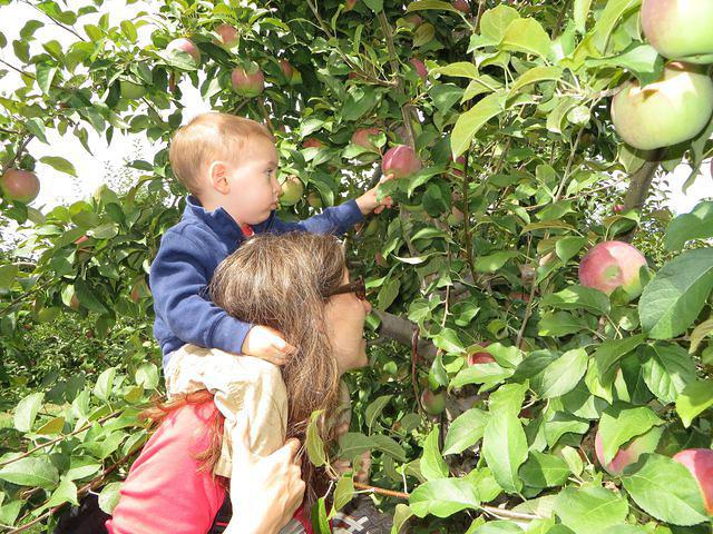 Another picking technique