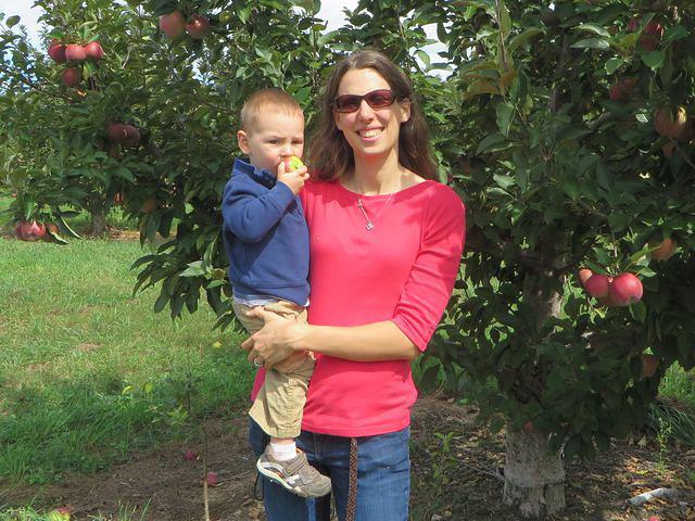 Surrounded by apple laden trees