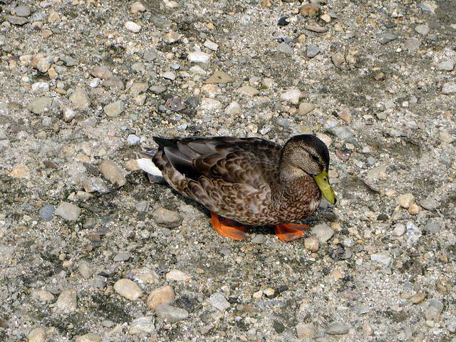 One last look and time to head home