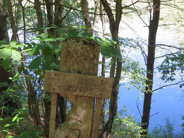 Laurie's Pond
