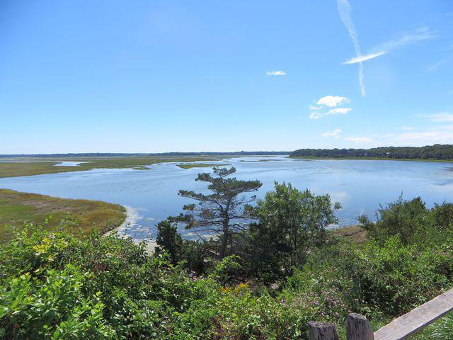 View behind Coast Guard Beach
