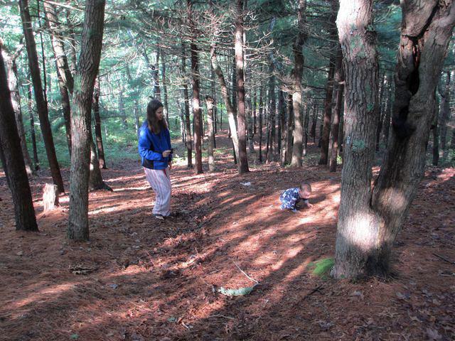 Climbing the hill behind campsite