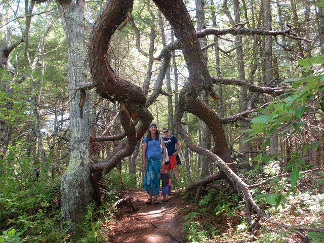 Hiking up from Little Cliff Pond