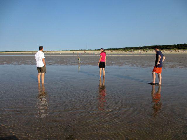 Checking out the flats at low tide